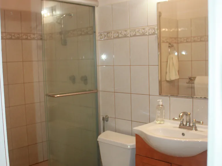 425 Ena Rd #A-808 — Photo 5