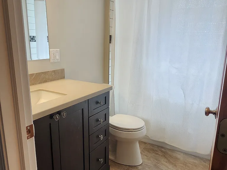 4825 W Bloomingdale Ave — Photo 2