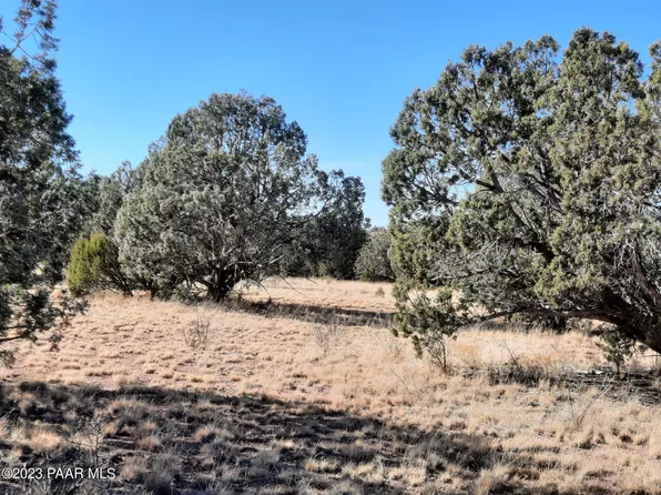 LOT 218 N Kudu Rd, Seligman, AZ 86337