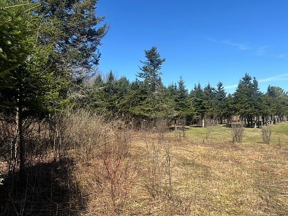 4th image of 0 Hill Rd Lot 4