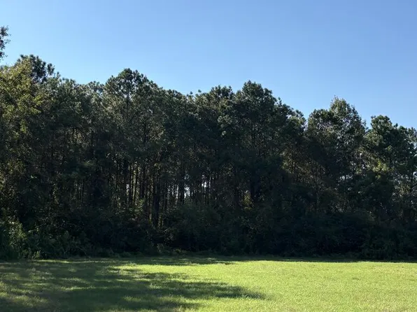 1032 Attapulgus Whigham Rd, Whigham, GA 39897