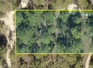 2314 Wellington Ave, Alva, FL 33920