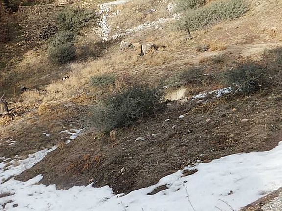 2nd image of 33650 Angelus Dr