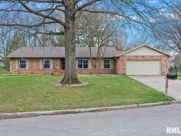 30 Burning Tree Dr, Chatham, IL 62629