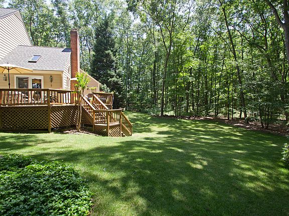 Back yard view