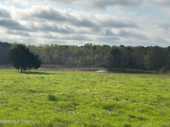 2nd image of 726 Neal Rd