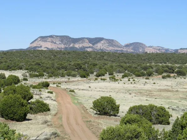 County Road 603 & Hwy #60, Pie Town, NM 87827