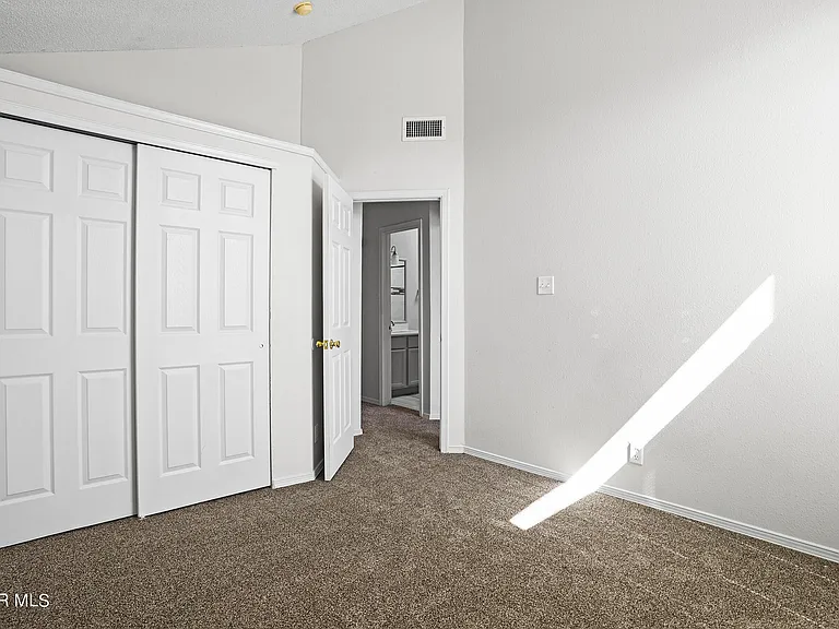 11229 William McCool St — Photo 29