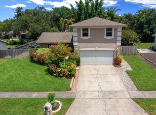 2589 Knoll St W, Palm Harbor, FL 34683