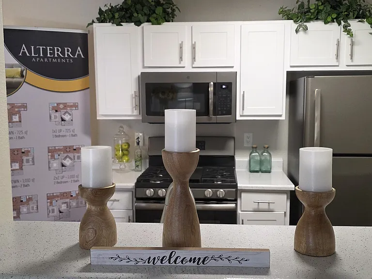 Alterra Apartments — Photo 8