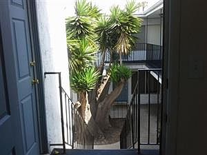 1st image of 612 Delaware St APT J