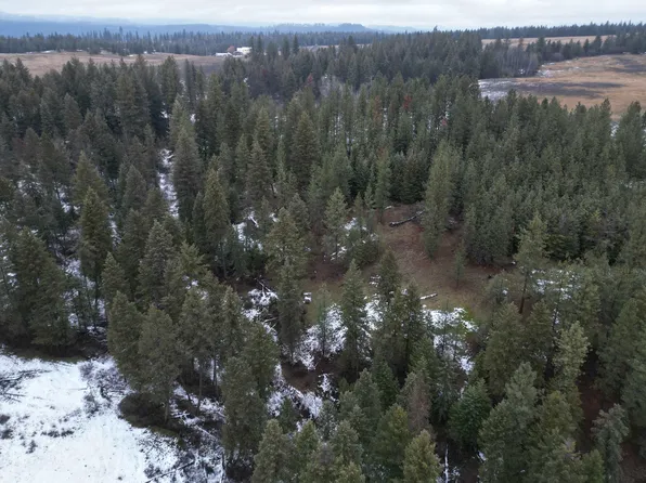 4417 Estebrook Rd, Springdale, WA 99173