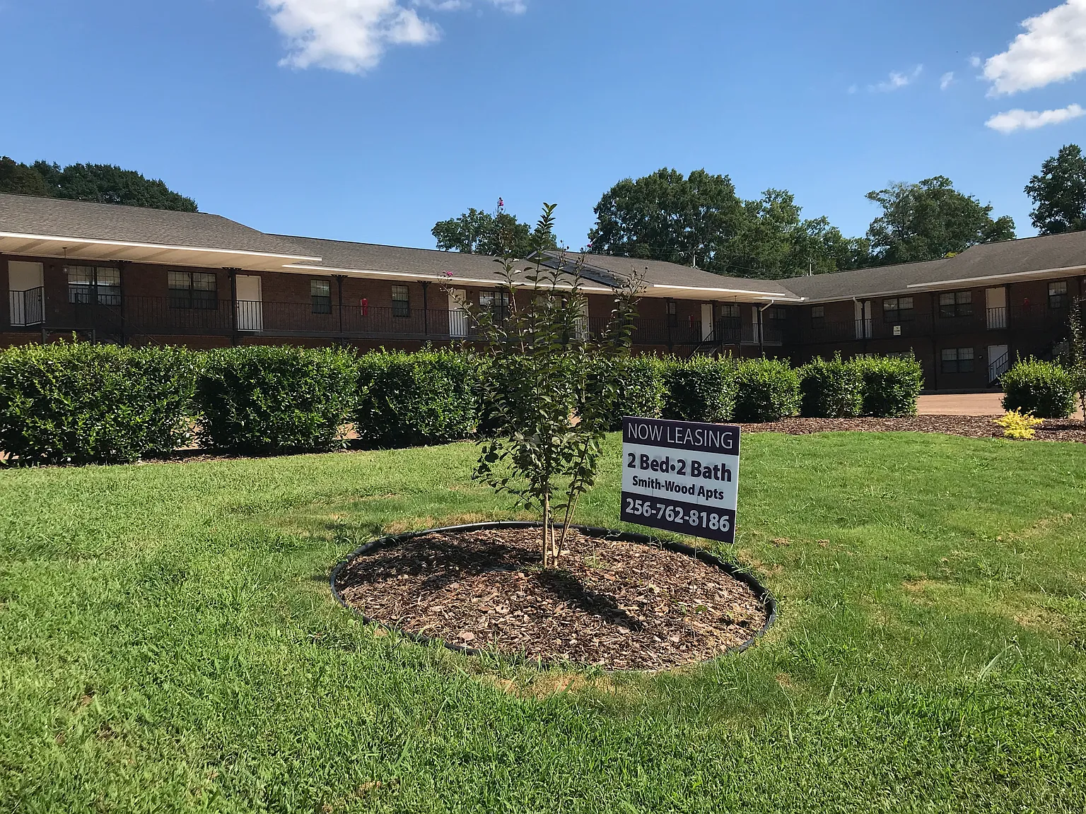 2 bed, $900 — Photo 3