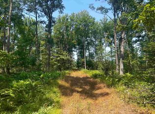 Dexter Wood Rd, Pittsville, WI 54466