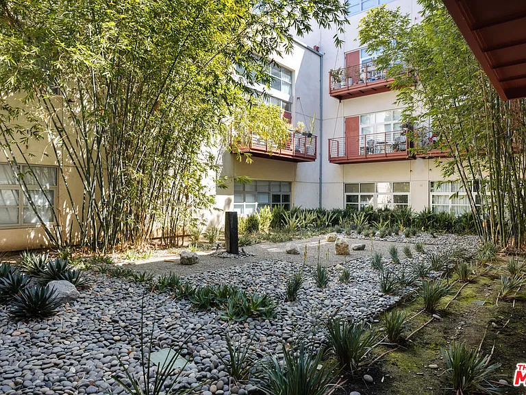 bamboo garden view