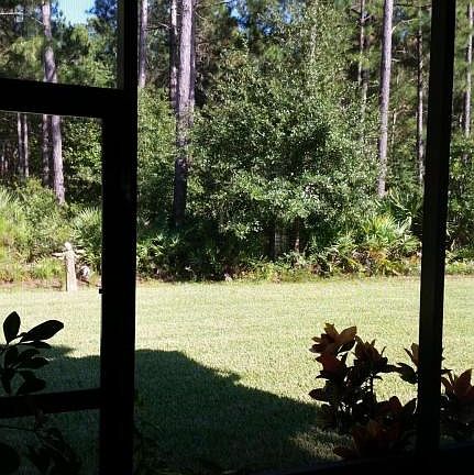 Preserve View
