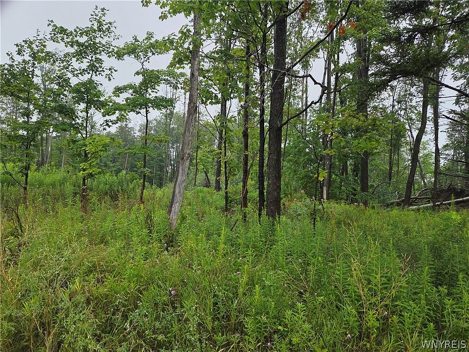 1st image of 1 Darien Rd Lot 10