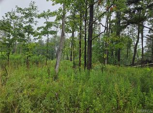1 Darien Rd LOT 10, Colden, NY 14033