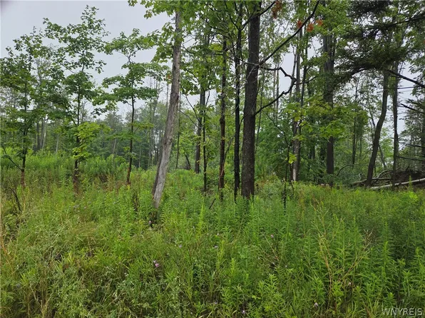 1 Darien Rd Lot 10, Colden, NY 14033