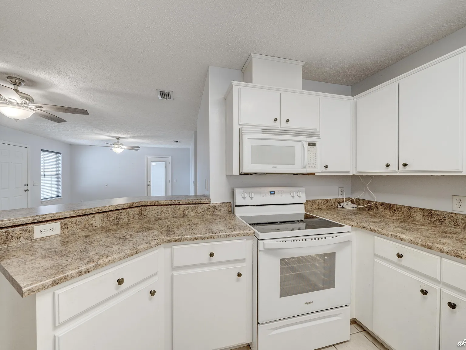 3127 Douglas Road - 1 — Photo 4