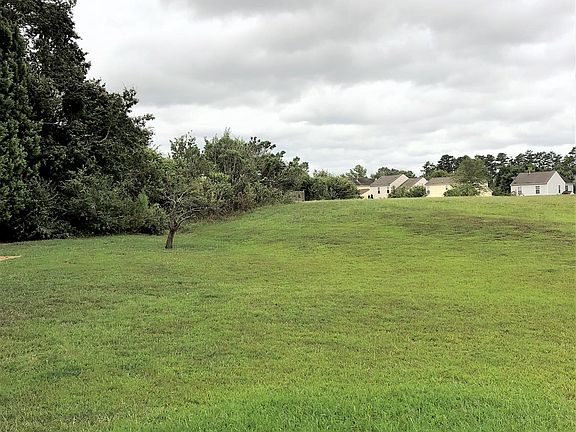 Large flat and grassy back yard is great for kids and pets!