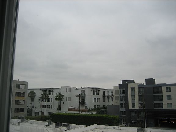 THE VIEW