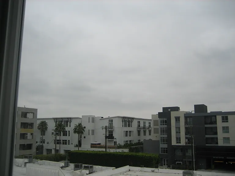 THE VIEW