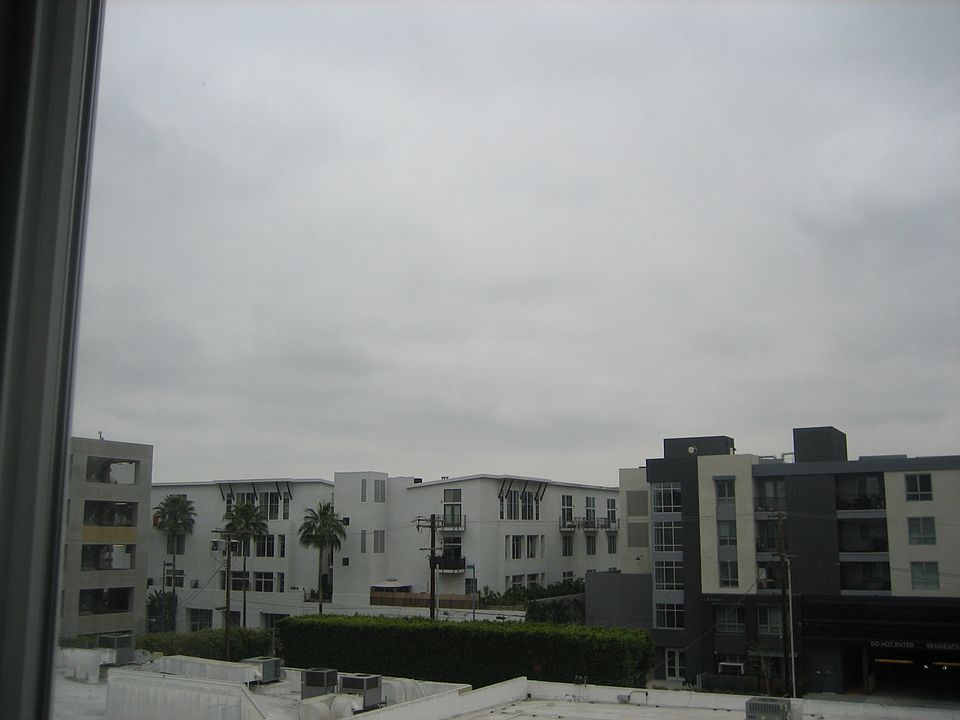 THE VIEW