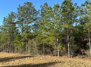 15749 Woodlife Rd, Willis, TX 77378