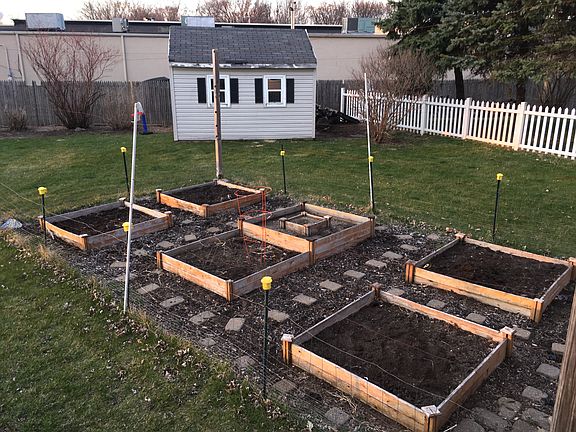 Raised garden beds and shed