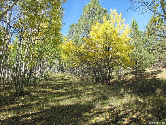 5th image of Lot 700 Campfire Road LOT 700