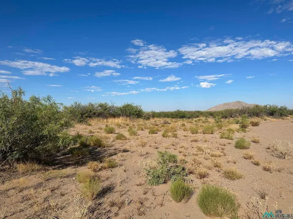 Cochise Rd SW, Deming, NM 88030