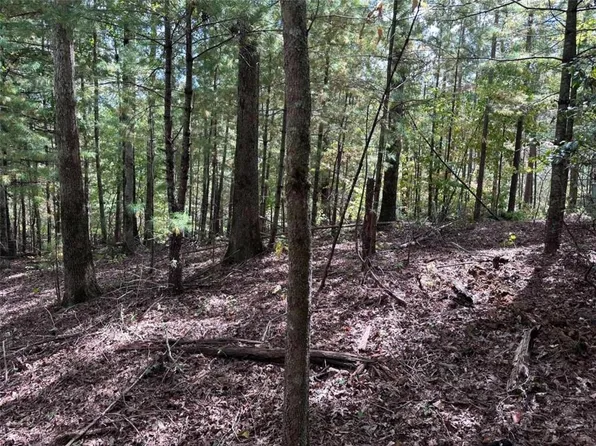 37 Mountain Creek Hollow Dr #37, Talking Rock, GA 30175