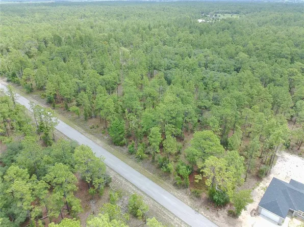 SW Buena Vista Rd Lot 19, Dunnellon, FL 34431