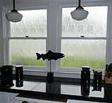 Kitchen Window