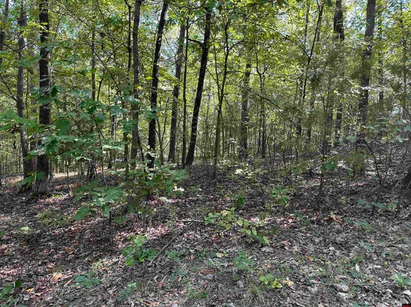 LOT 1 Mc 7097, Flippin, AR 72634