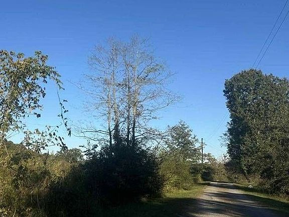 Exterior Neighborhood (street photo)