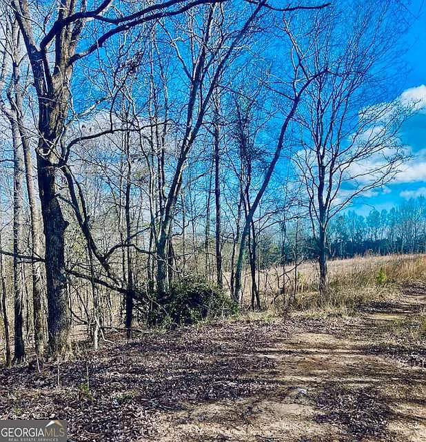 301 Highway Hwy49 SW photo 1