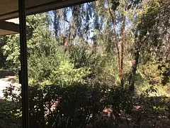 4618 Collwood Ln — Photo 15