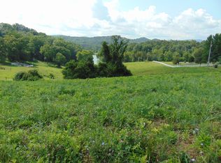 Walker Ct, New Tazewell, TN 37825