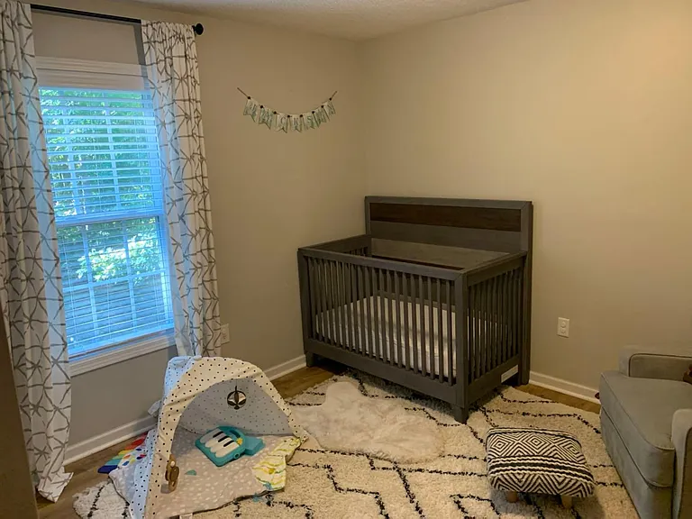 117 Purple Finch Ln — Photo 30