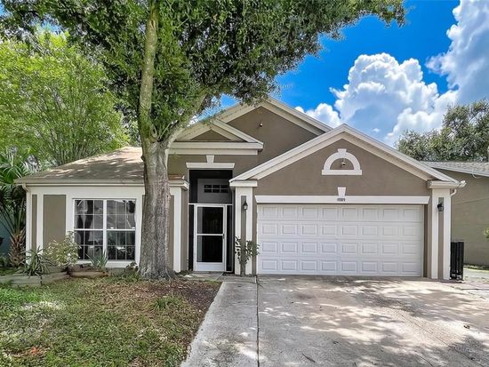11109 BRAMBLEBRUSH STREET, Tampa, FL 33624