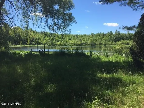 8390 Mowry St NE, Sand Lake, MI 49343