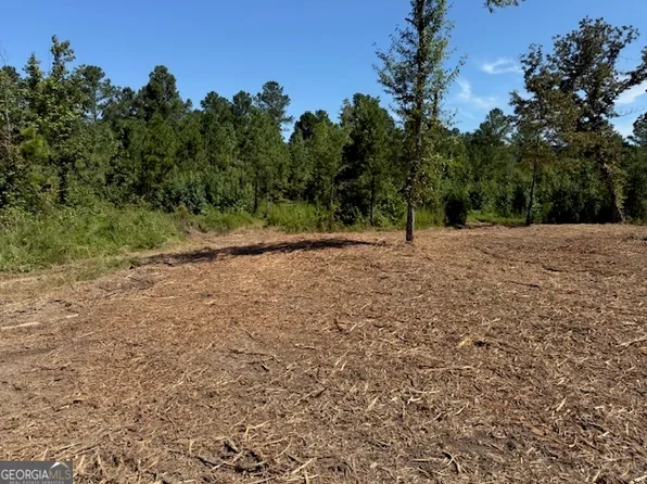 0 Satcher Rd #1, Taylorsville, GA 30178