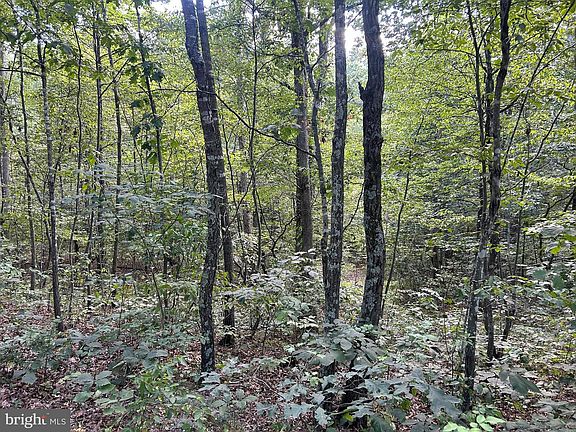 4th image of Gun Barrel Ln