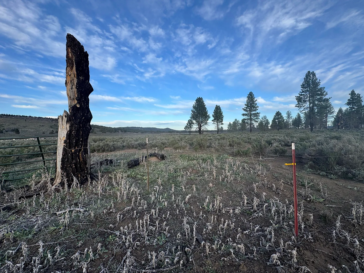 0 Mule Deer Dr #1 photo 1