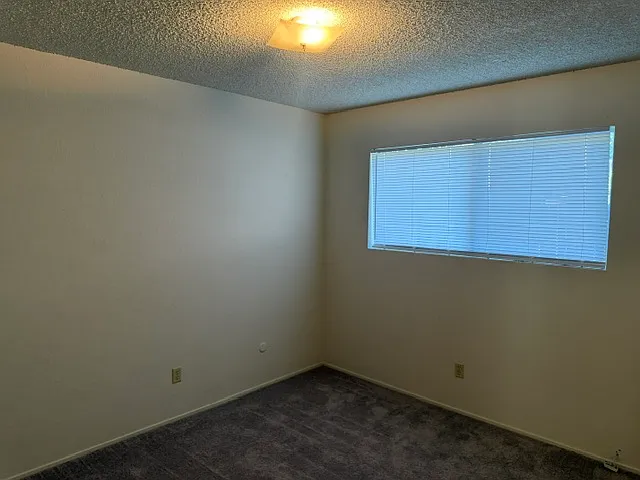 5627 Passero Way — Photo 29