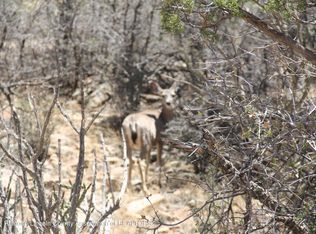 Jicarilla Rd, Carrizozo, NM 88301