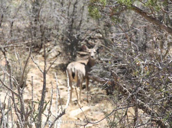 Jicarilla Rd, Carrizozo, NM 88301