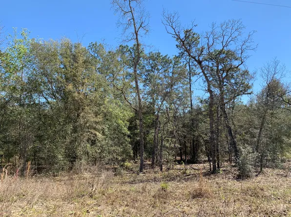 00 STATE RD 20, Interlachen, FL 32148